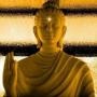 理解原谅放下