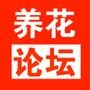 養花