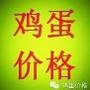 鸡蛋价格