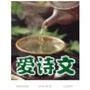 岁月如诗