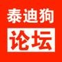 泰迪