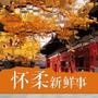 怀柔新鲜事