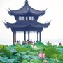 济南情报