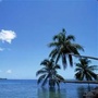 海口热点