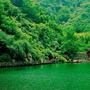 山东之窗