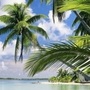 海口生活圈