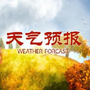 天气播报