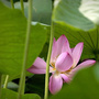 生活对对碰
