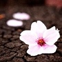 生活频道