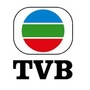 我爱追tvb