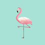时尚gossip