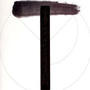 体育