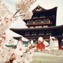 日本全旅游