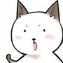 APP蘑菇仔