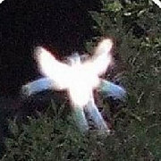 第999个神秘事件