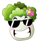 日本潮流速递Fashion