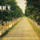 高校那些事儿