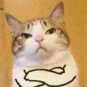 就是一只大菠萝