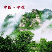 平凉县令