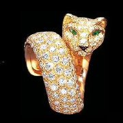 鹏媒体时尚