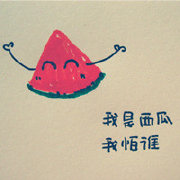 Wallis赵静