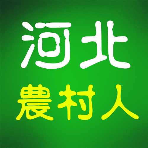 河北农村人