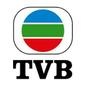 我爱追tvb