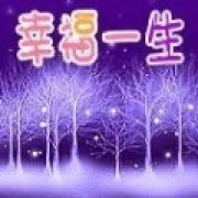 互联网狂人智蓉