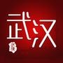 武汉武汉