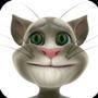 东北猫123