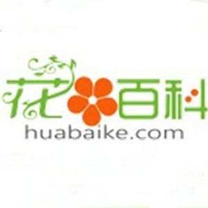 yanghua98