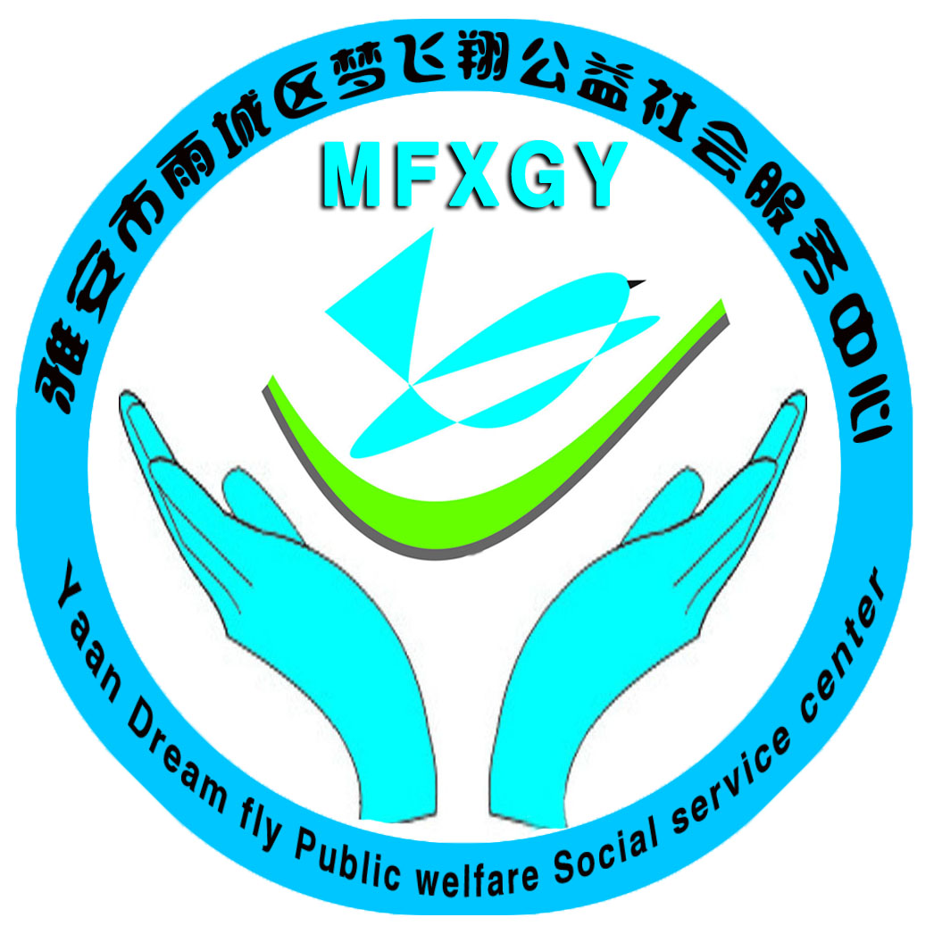 梦飞翔公益