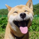 乐享其才