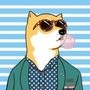 第一娱乐圈