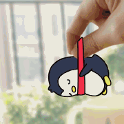 五月如花