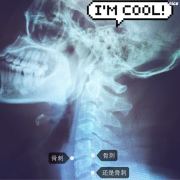 大懒糖