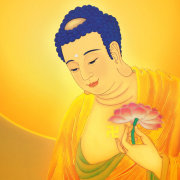 犹太智慧启示录