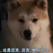 娱评八公V