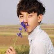 卫视小探子V