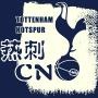 热刺TottenhamHotspur