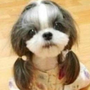 潮人雷事