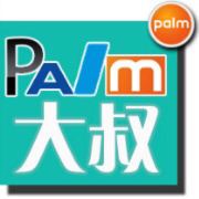 palm大叔