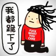 布小什大师V
