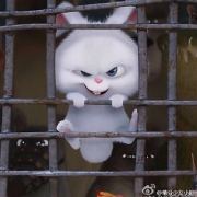 赵丽颖