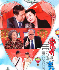 电视剧《爱情最美丽》