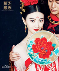 电视剧《大唐荣耀》