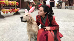 《大唐荣耀》万茜杀青 片场俏皮玩耍超开心