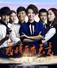 电视剧《爱情自有天意》