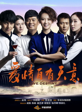《爱情自有天意》