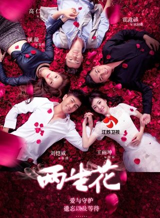 《两生花》